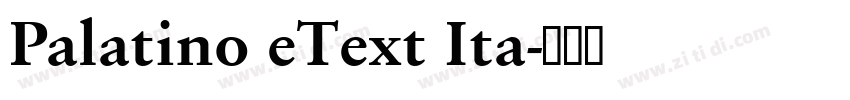 Palatino eText Ita字体转换 Palatino eText Ita字体转换